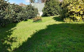 Goldrush Motel Young Cbd